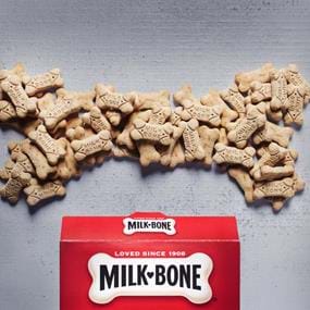 Milk Bone dog biscuits conceptual photography